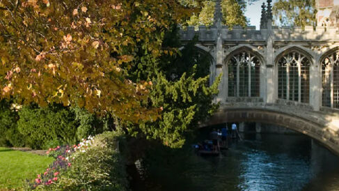 A photo of the bridge of sighs and surrounding gardens